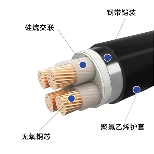 www.dxdlc.cn