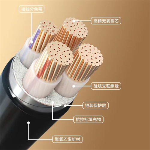 www.dxdlc.cn