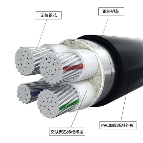 www.dxdlc.cn