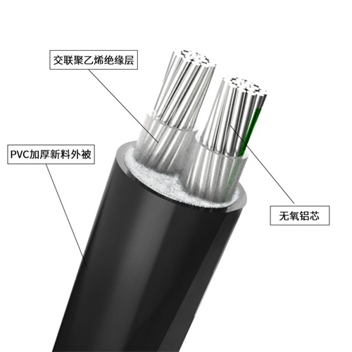 www.dxdlc.cn